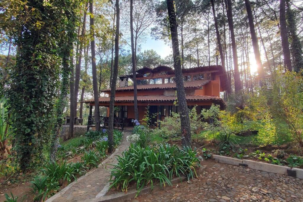 Cabana Rustica A 1Km De Cascada มาซามิตลา ภายนอก รูปภาพ