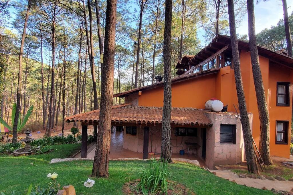 Cabana Rustica A 1Km De Cascada มาซามิตลา ภายนอก รูปภาพ