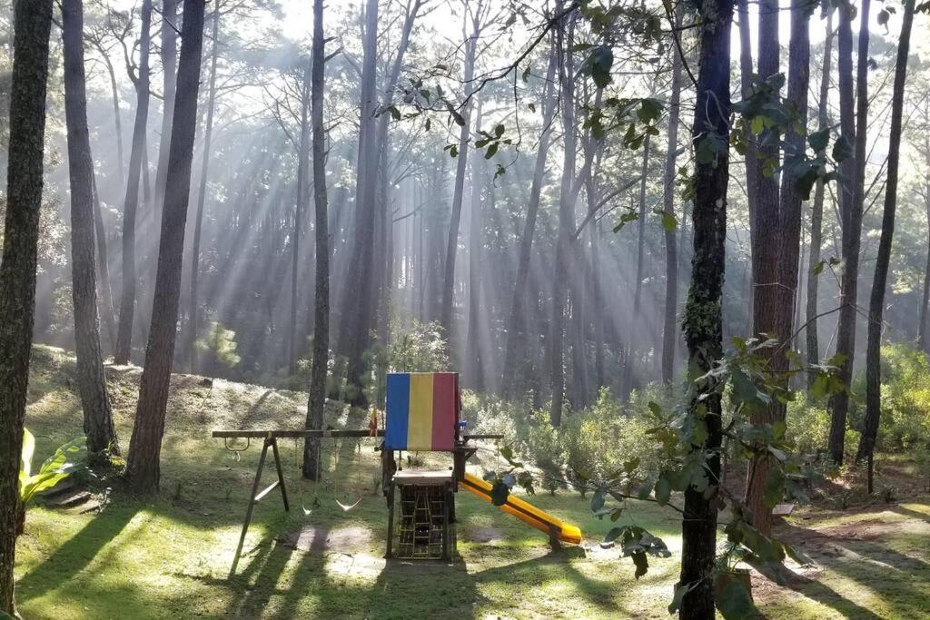 Cabana Rustica A 1Km De Cascada มาซามิตลา ภายนอก รูปภาพ
