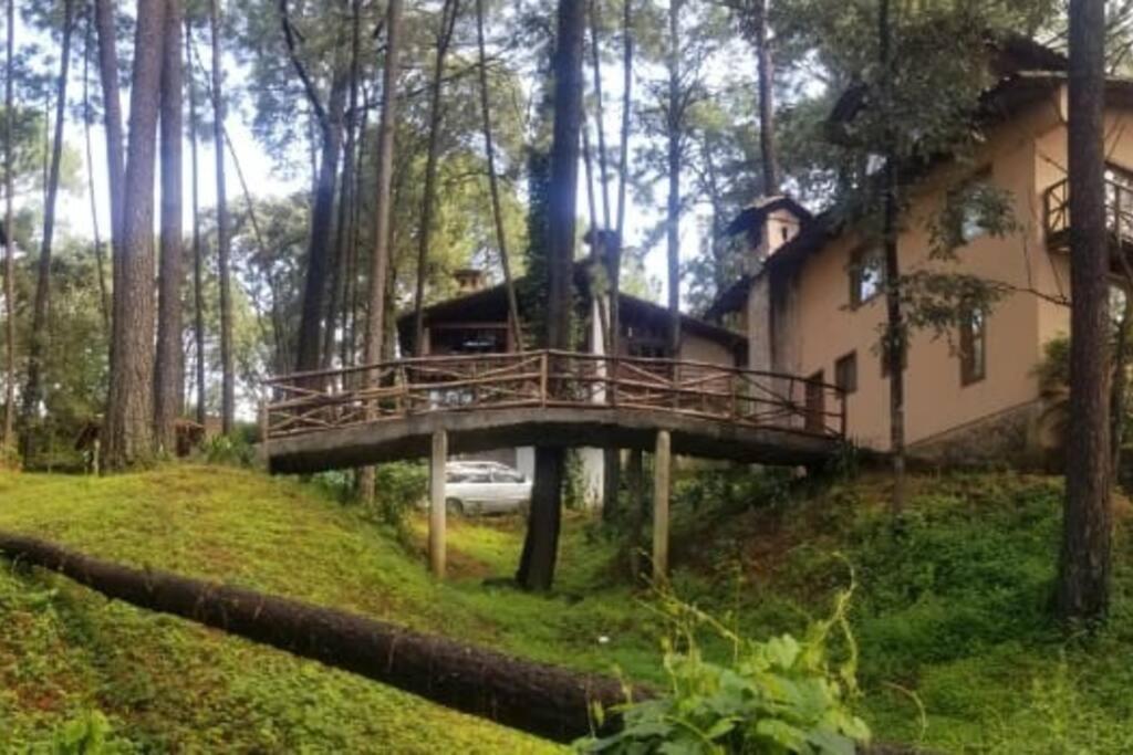 Cabana Rustica A 1Km De Cascada มาซามิตลา ภายนอก รูปภาพ